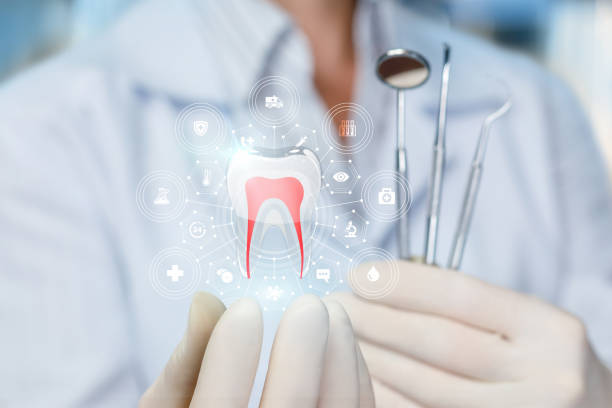 Reliable Finderne, NJ Holistic Dental Care Services Solutions